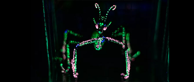 La Mantis