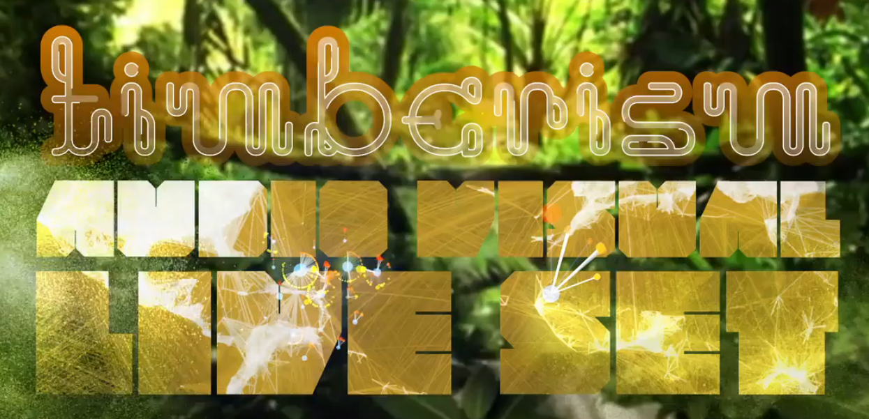 Timberism AudioVisual Live Set